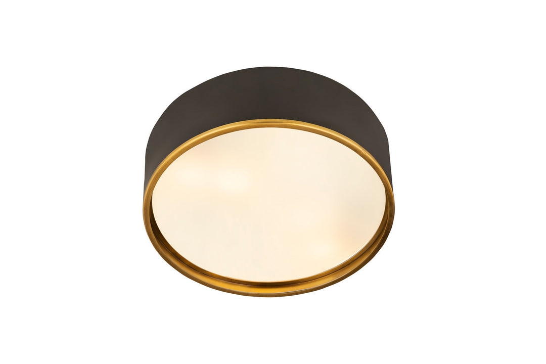 Z-Lite Arlo 2303F4-MB-RB Ceiling Light - Matte Black / Rubbed Brass