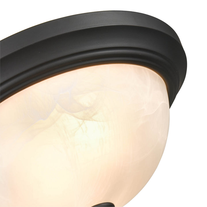 Millennium 4601-MB Ceiling Light - Matte Black