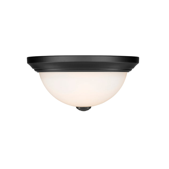 Millennium 4901-MB Ceiling Light - Matte Black