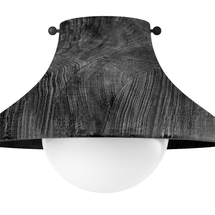 Regina Andrew Surfside 16-1347EB Ceiling Light - Ebony