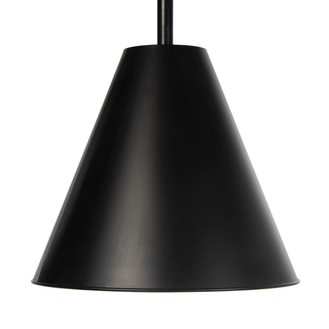 Regina Andrew Bluff 17-1005BLK Pendant Light - Black