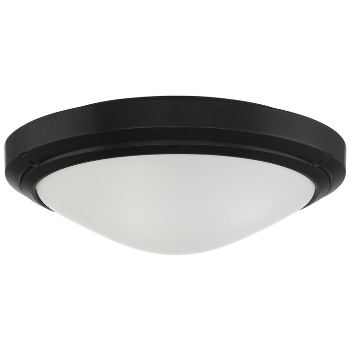 Access Oceanus 20356LEDDMGLP-MBL/FST Ceiling Light - Matte Black