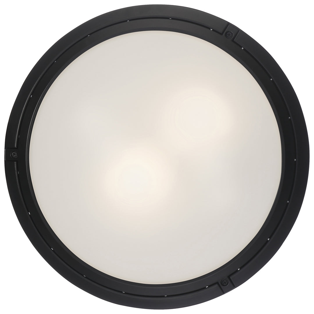 Access Oceanus 20356LEDDMGLP-MBL/FST Ceiling Light - Matte Black