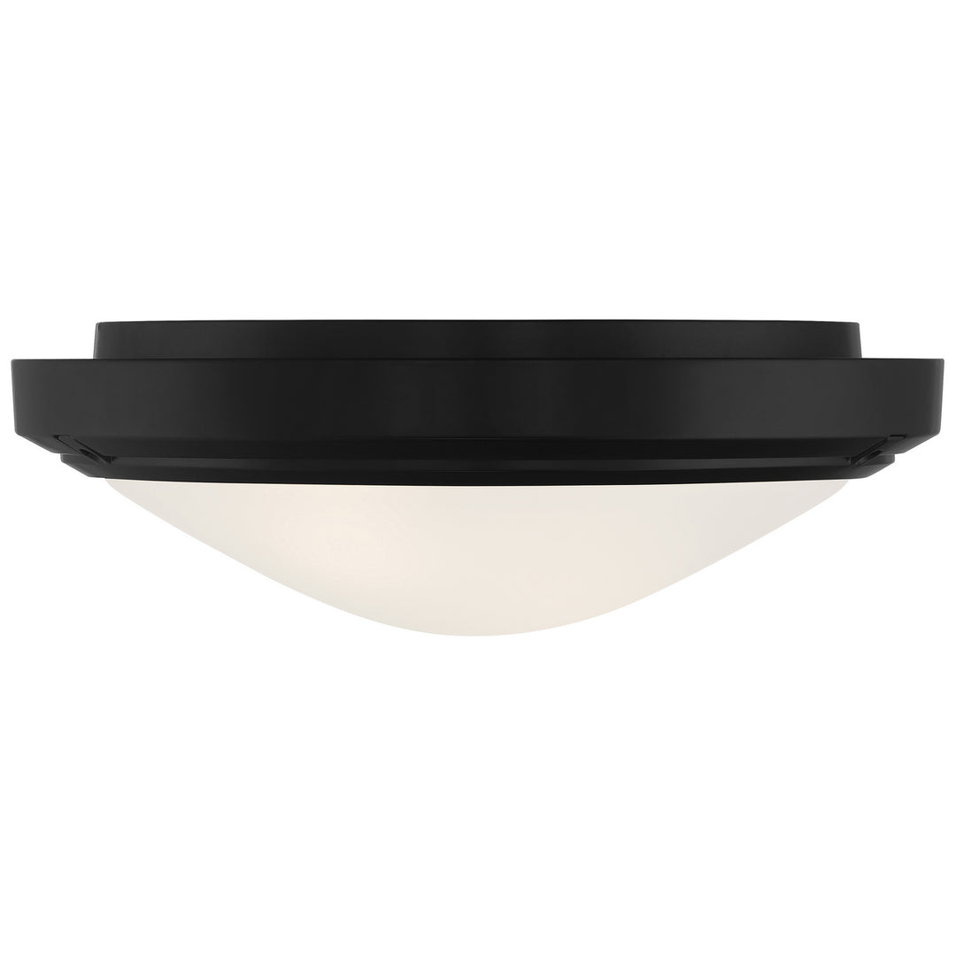 Access Oceanus 20356LEDDMGLP-MBL/FST Ceiling Light - Matte Black