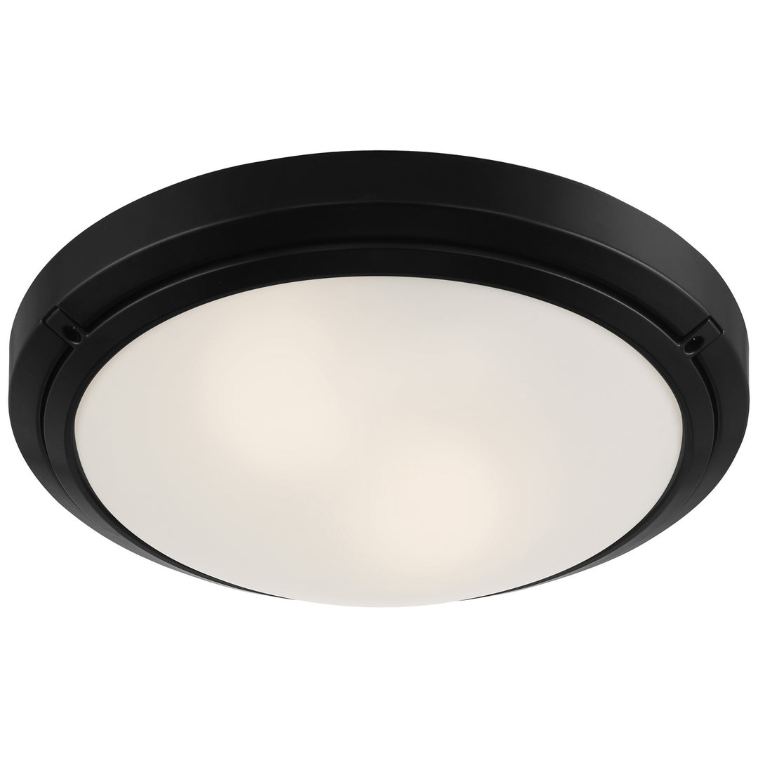 Access Oceanus 20356LEDDMGLP-MBL/FST Ceiling Light - Matte Black