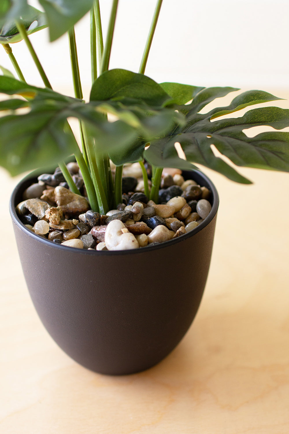 Kalalou Lighting CNL1330  Monstera Plant In A Plastic Pot Home Decor Bronze / Dark