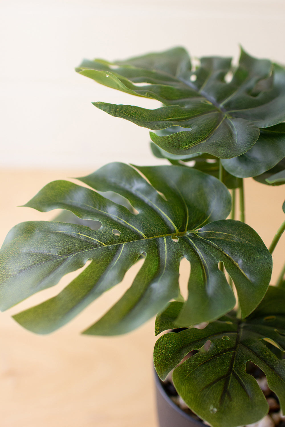 Kalalou Lighting CNL1330  Monstera Plant In A Plastic Pot Home Decor Bronze / Dark