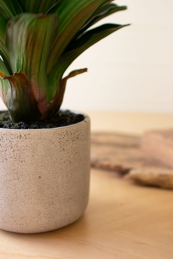 Kalalou Lighting CYF1351  Succulent Plant In A Pot Home Decor White