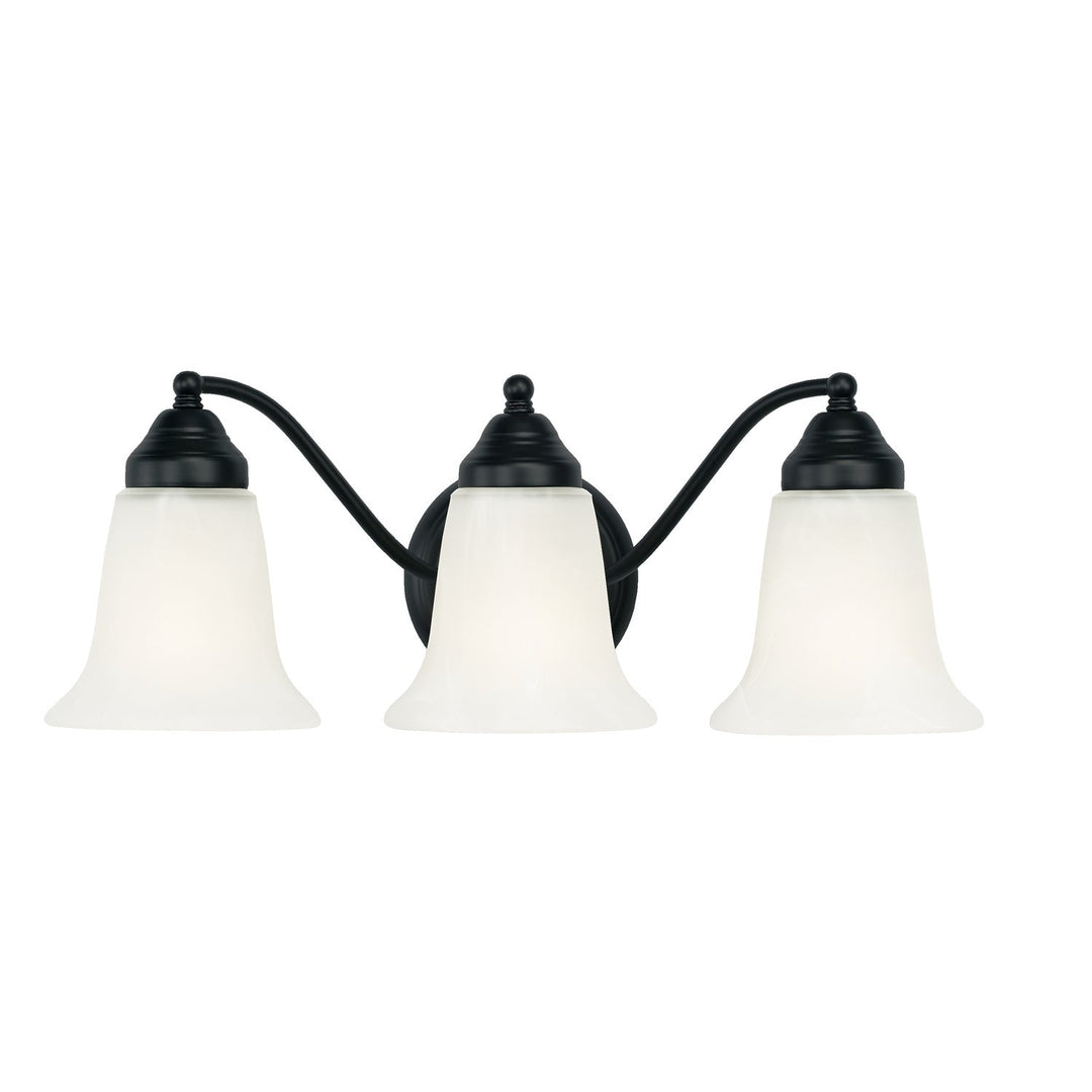 Capital Brady 1363MB-117 Bath Vanity Light 19 in. wide - Matte Black