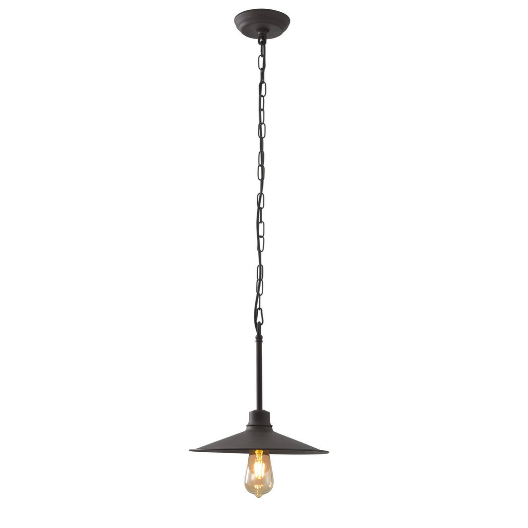 Varaluz Clayton 356M01DC Pendant Light - Dark Coffee