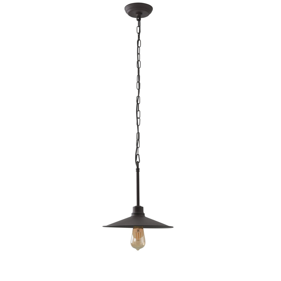 Varaluz Clayton 356M01DC Pendant Light - Dark Coffee