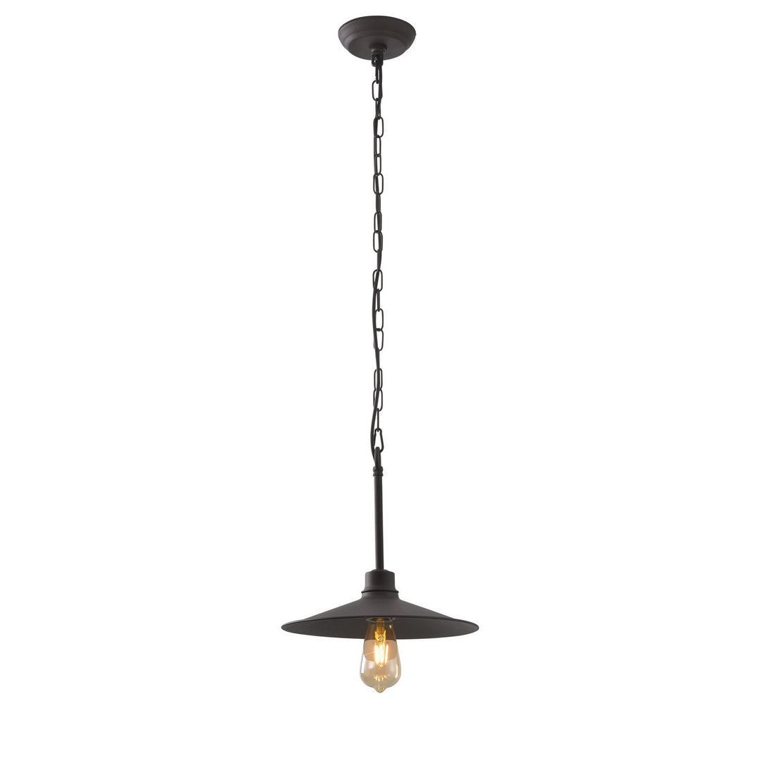 Varaluz Clayton 356M01DC Pendant Light - Dark Coffee