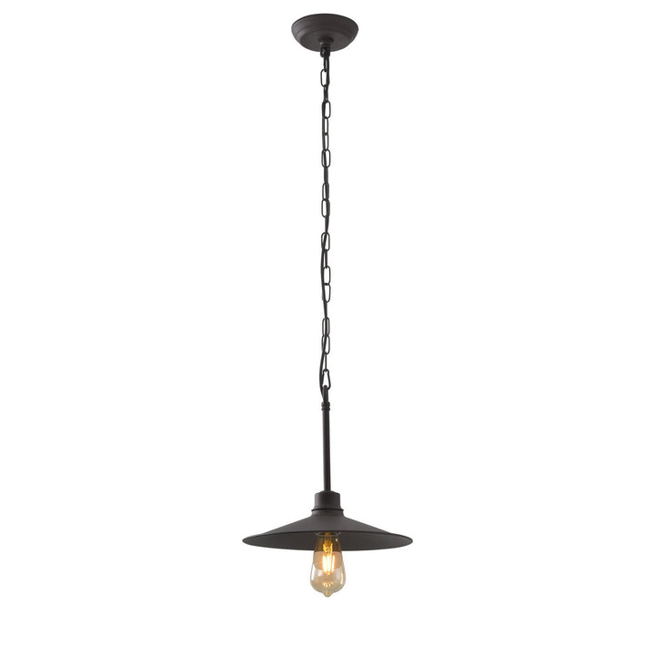 Varaluz Clayton 356M01DC Pendant Light - Dark Coffee