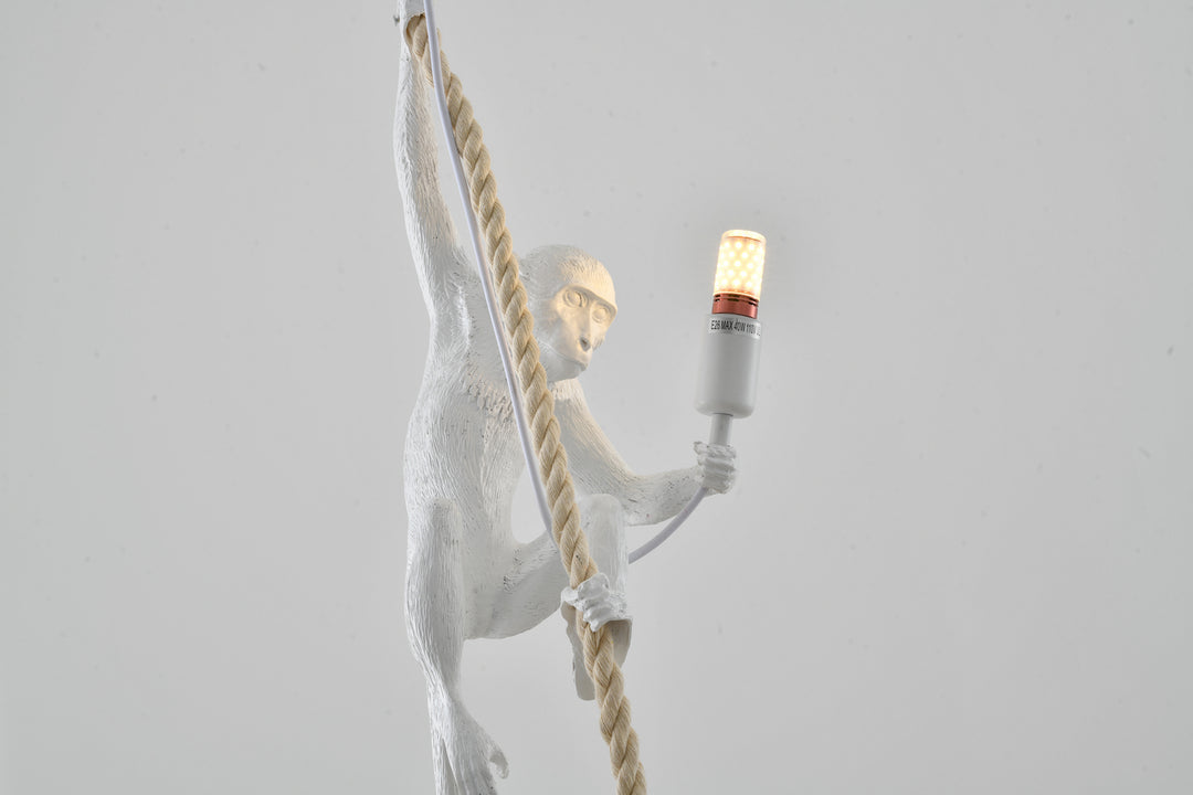 Bethel International DLS76P9W Pendant Light - White