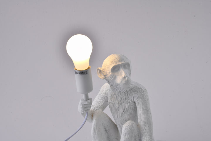 Bethel International DLS77T13W   Lamp White