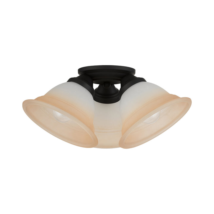 Livex Wynnewood 40729-04 Ceiling Light - Black