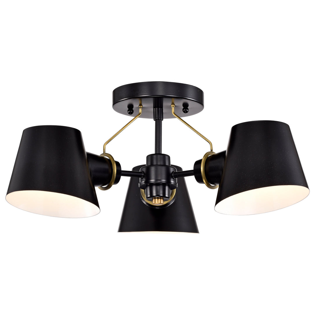 Nuvo Baxter 60-7384 Ceiling Light - Black / Burnished Brass