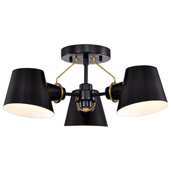 Nuvo Baxter 60-7384 Ceiling Light - Black / Burnished Brass