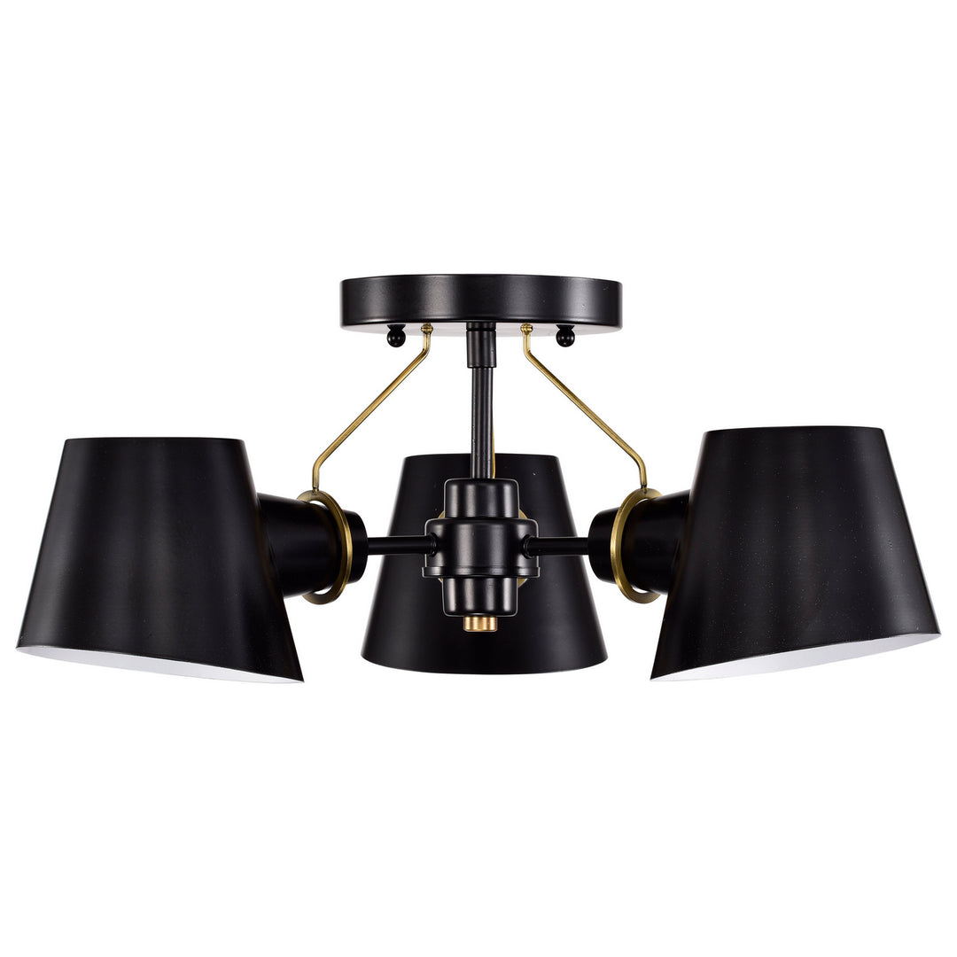 Nuvo Baxter 60-7384 Ceiling Light - Black / Burnished Brass
