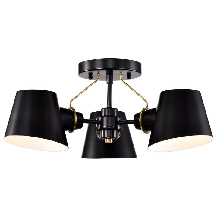 Nuvo Baxter 60-7384 Ceiling Light - Black / Burnished Brass
