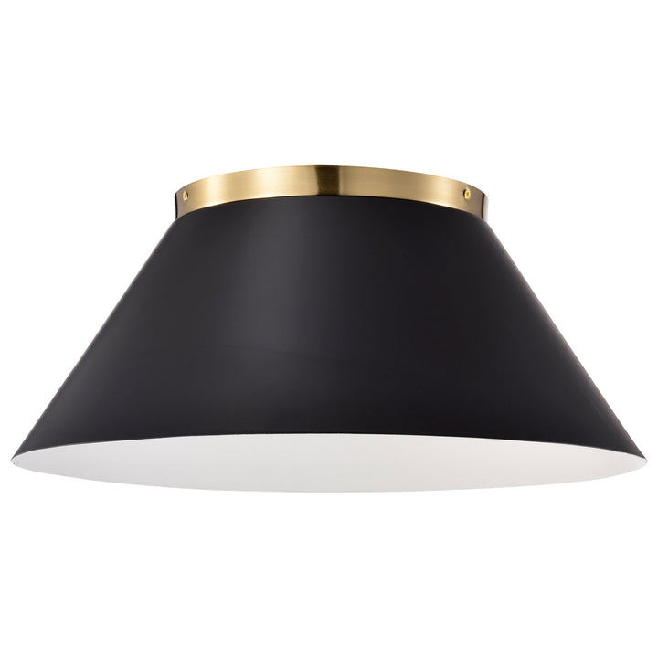 Nuvo Dover 60-7420 Ceiling Light - Black / Vintage Brass