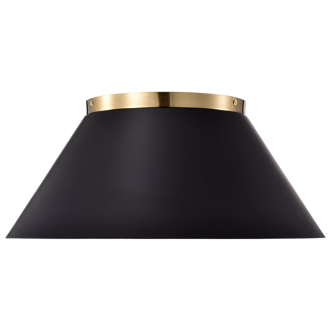 Nuvo Dover 60-7420 Ceiling Light - Black / Vintage Brass