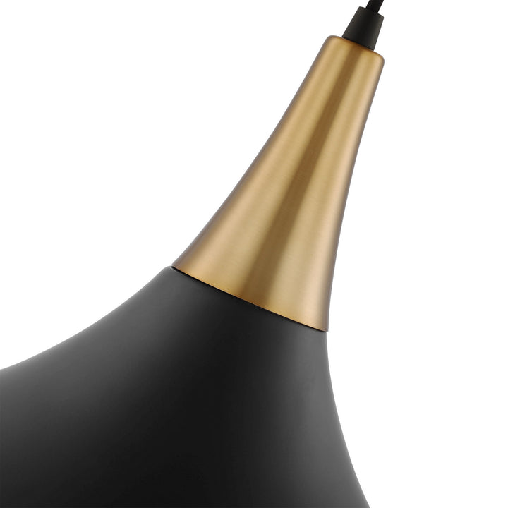 Nuvo Phoenix 60-7511 Pendant Light - Matte Black / Burnished Brass