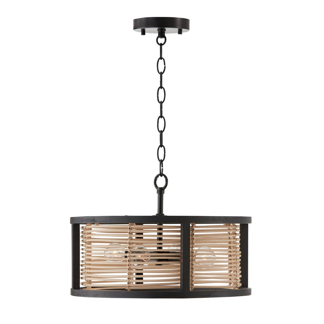 Capital Rico 244041FK Ceiling Light - Flat Black