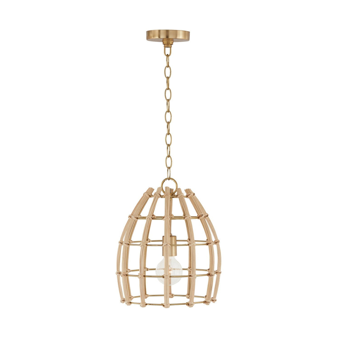 Capital Wren 344111MA Pendant Light - Matte Brass