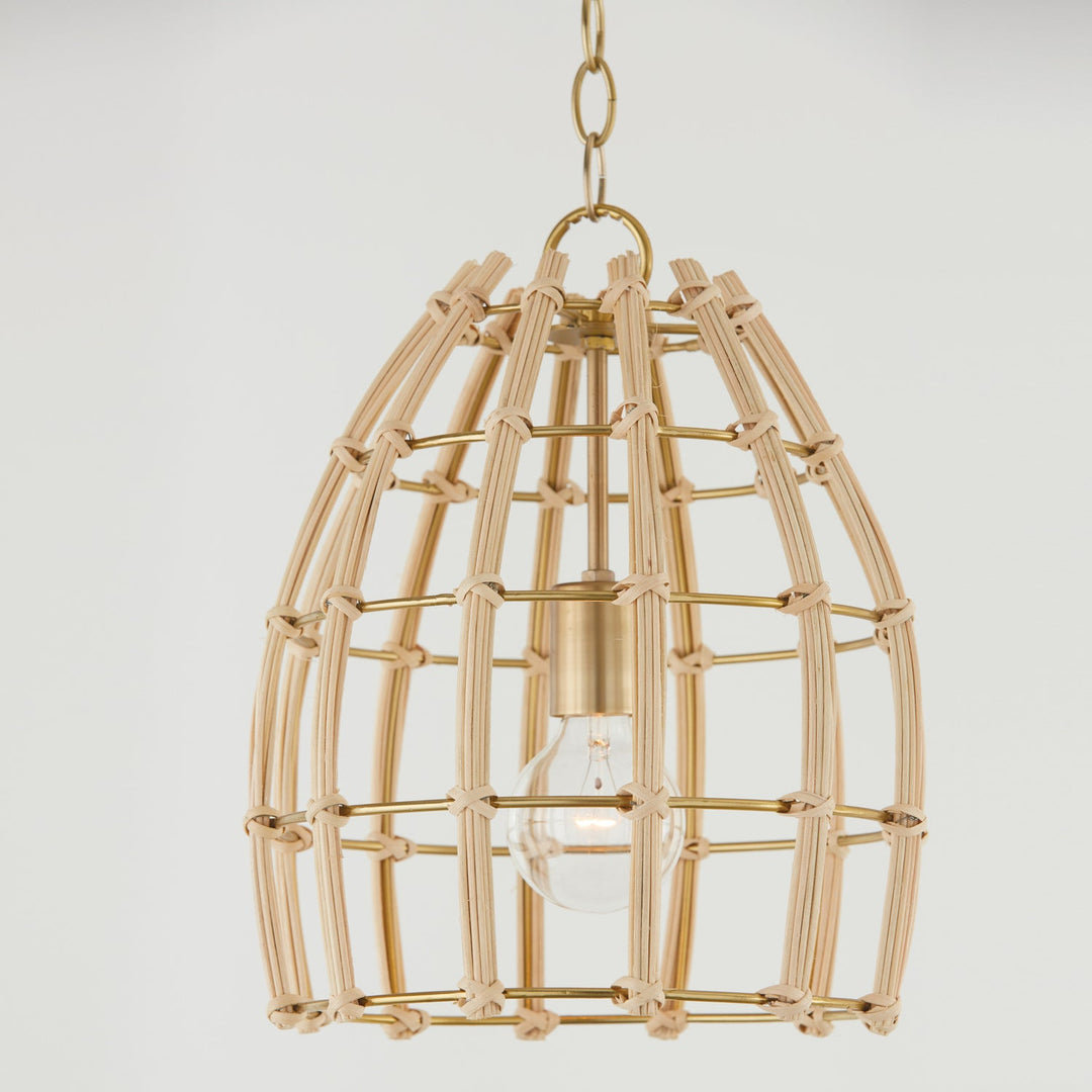 Capital Wren 344111MA Pendant Light - Matte Brass