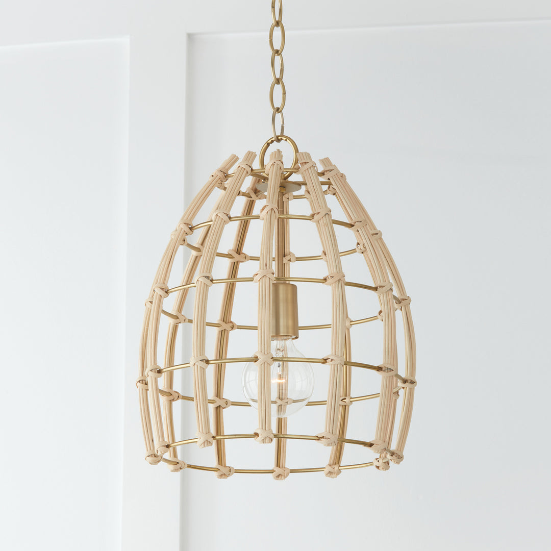 Capital Wren 344111MA Pendant Light - Matte Brass