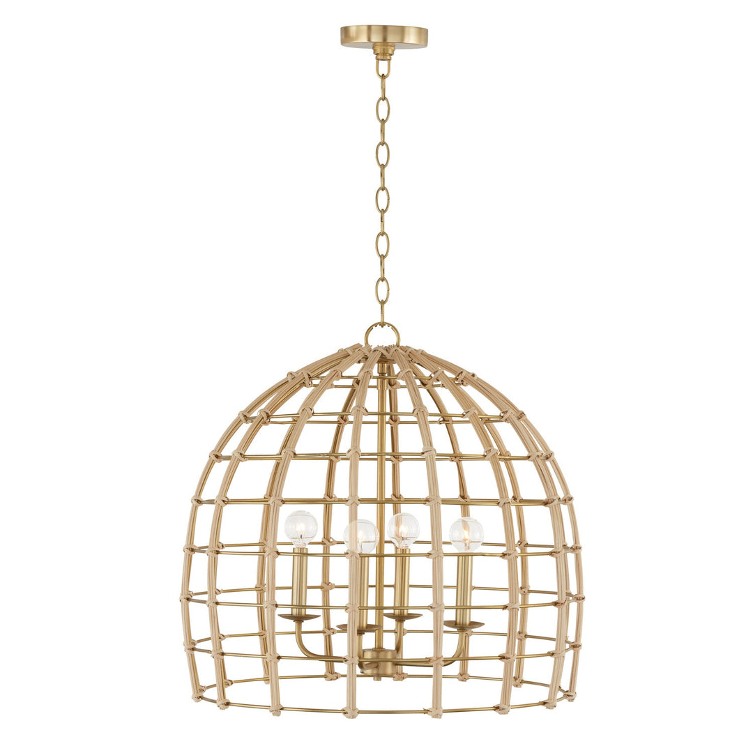 Capital Wren 344141MA Pendant Light - Matte Brass