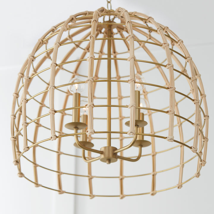 Capital Wren 344141MA Pendant Light - Matte Brass