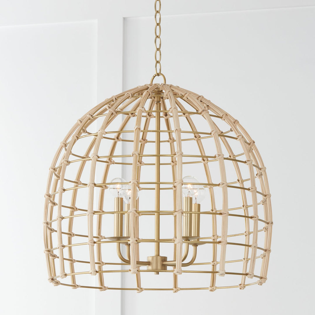 Capital Wren 344141MA Pendant Light - Matte Brass