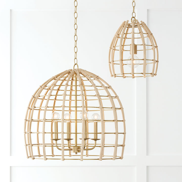 Capital Wren 344141MA Pendant Light - Matte Brass