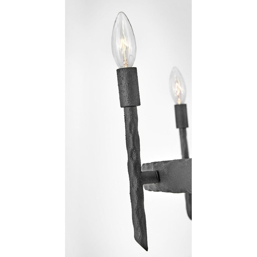 Hinkley Tress 3675FE Chandelier Light - Forged Iron
