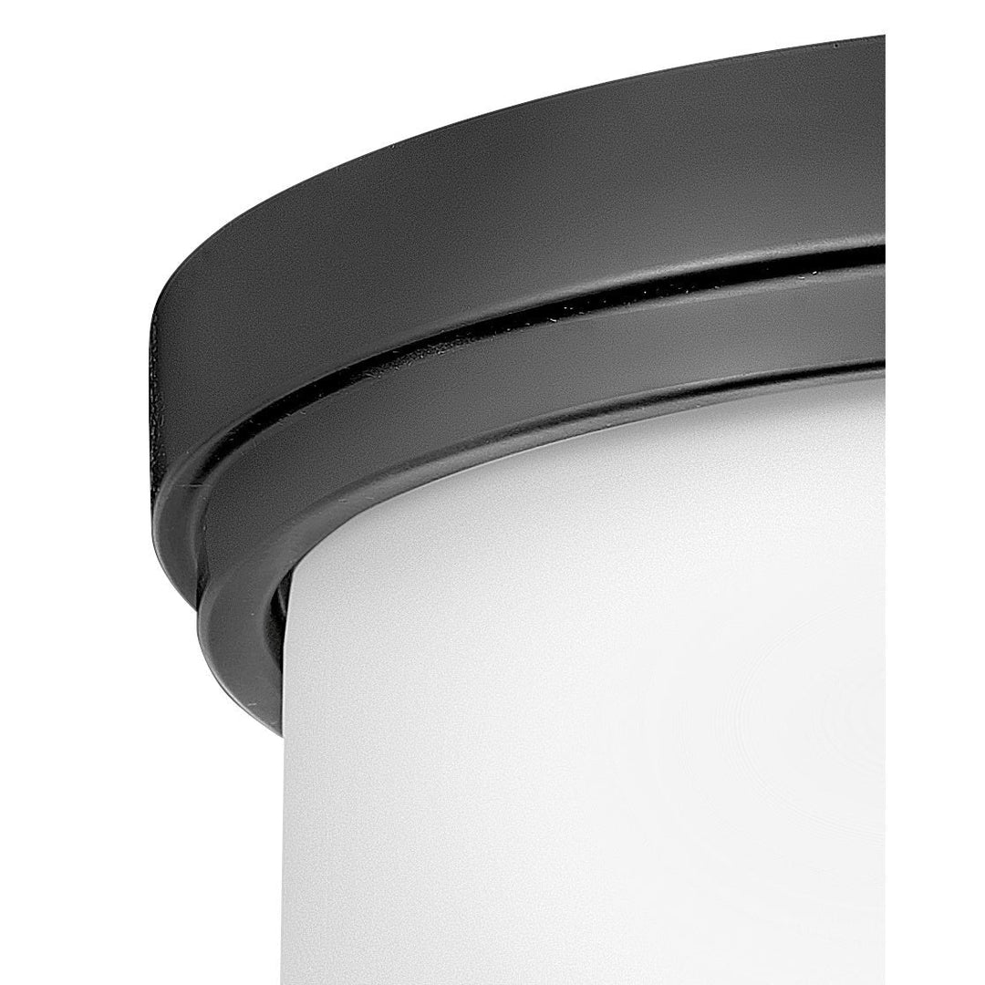 Hinkley Montrose 42801BK Ceiling Light - Black