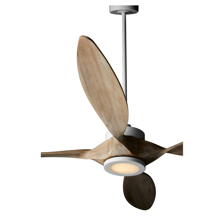 Quorum Papillon 28664-8 Ceiling Fan - Studio White, Weathered Gray