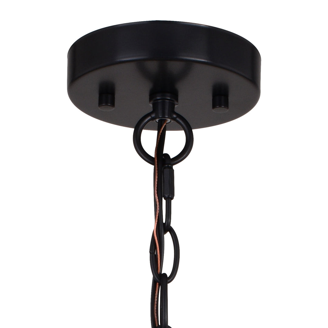 Vaxcel Burien P0365 Chandelier Light - Black and Washed Ash