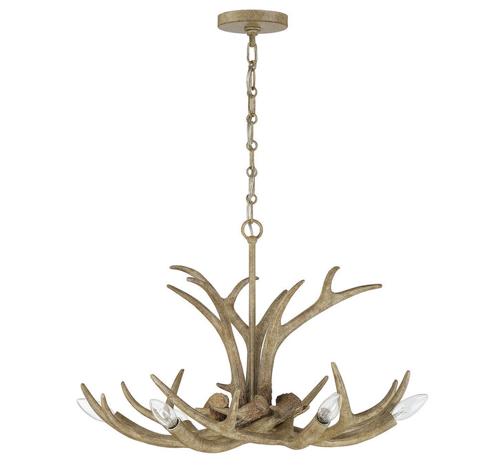 Savoy House Daniels 1-1761-6-198 Chandelier Light - Natural Antler