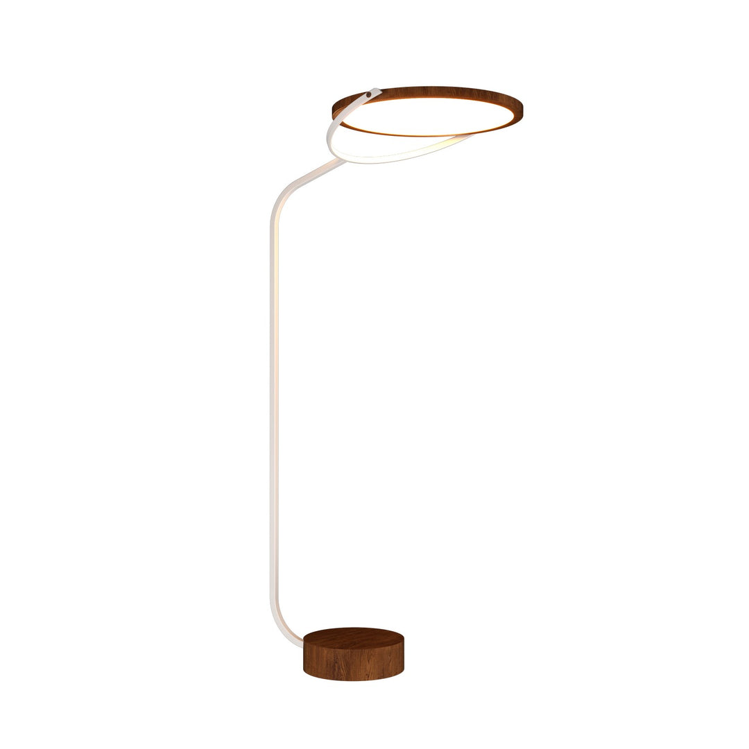 Accord Lighting 3039LED.06 Naia Led Floor Lamp Floor Lamp Imbuia