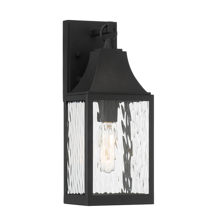 Designers Fountain D265M-6EW-BK Blueberry Trail One Light Wall Lantern Outdoor Black