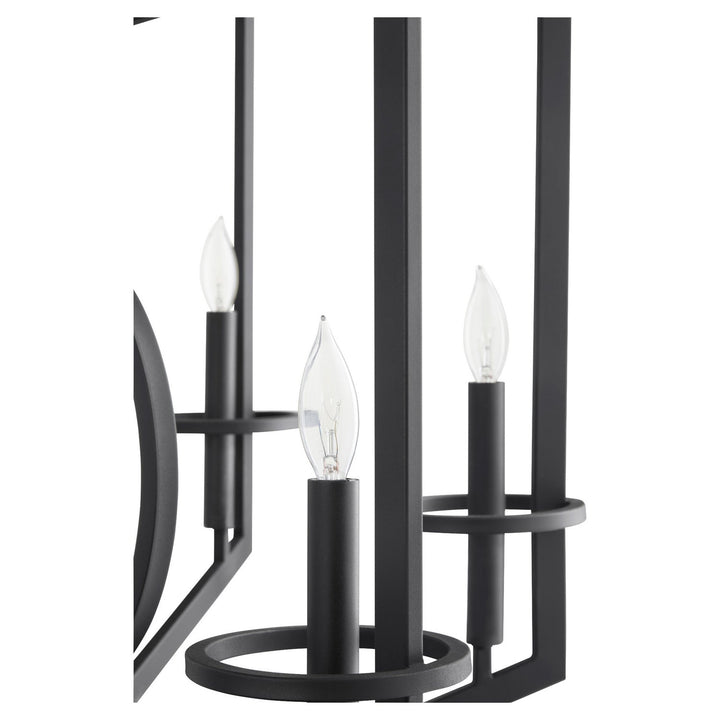 Cyan Design Oxalis 11389 Chandelier Light - Noir