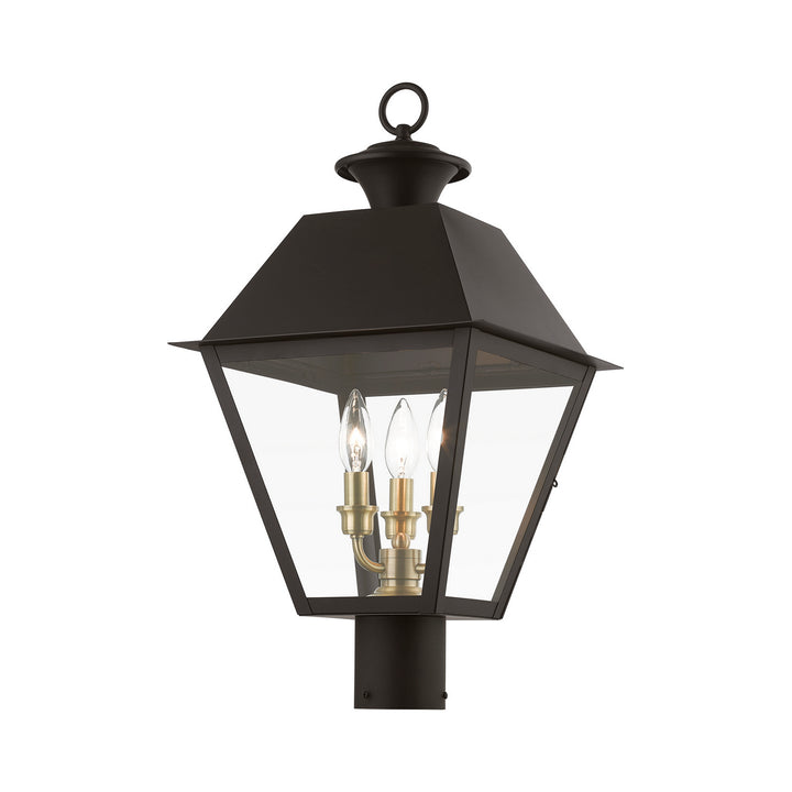 Livex Lighting 27219-07  Wentworth Outdoor Bronze W/Antique Brass Finish Cluster