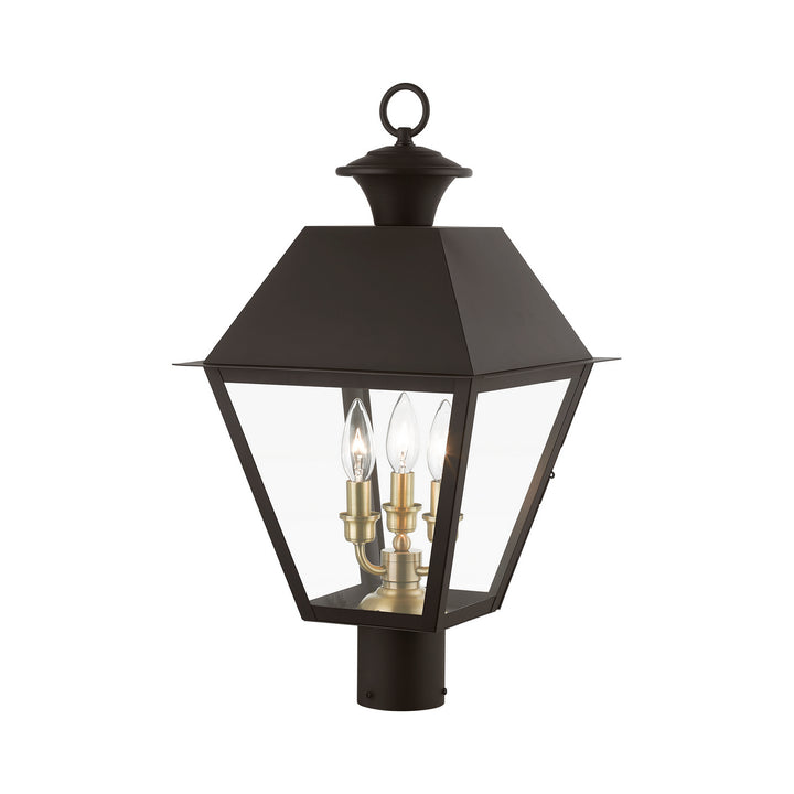 Livex Lighting 27219-07  Wentworth Outdoor Bronze W/Antique Brass Finish Cluster
