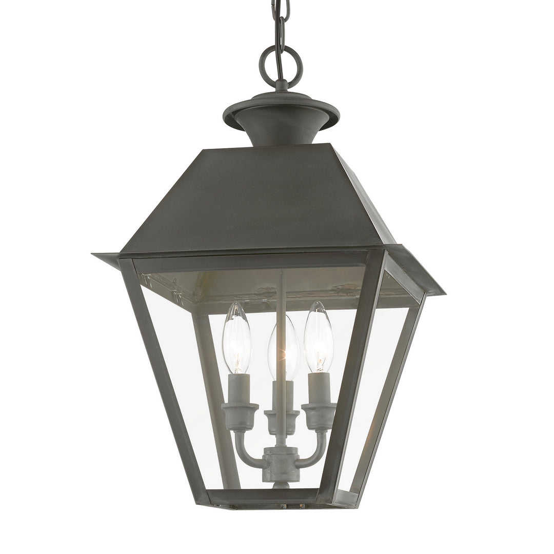 Livex Lighting 27220-61  Wentworth Outdoor Charcoal