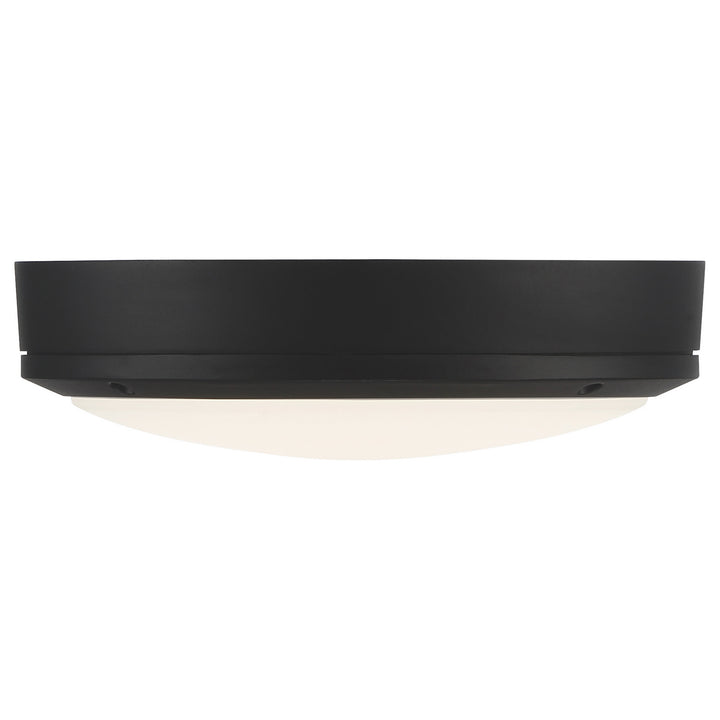 Access Rockaway 20250LEDDMG-MBL/FST Ceiling Light - Matte Black