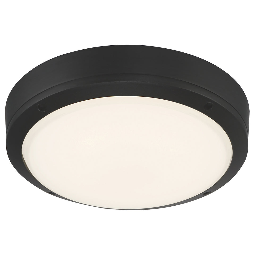 Access Rockaway 20250LEDDMG-MBL/FST Ceiling Light - Matte Black