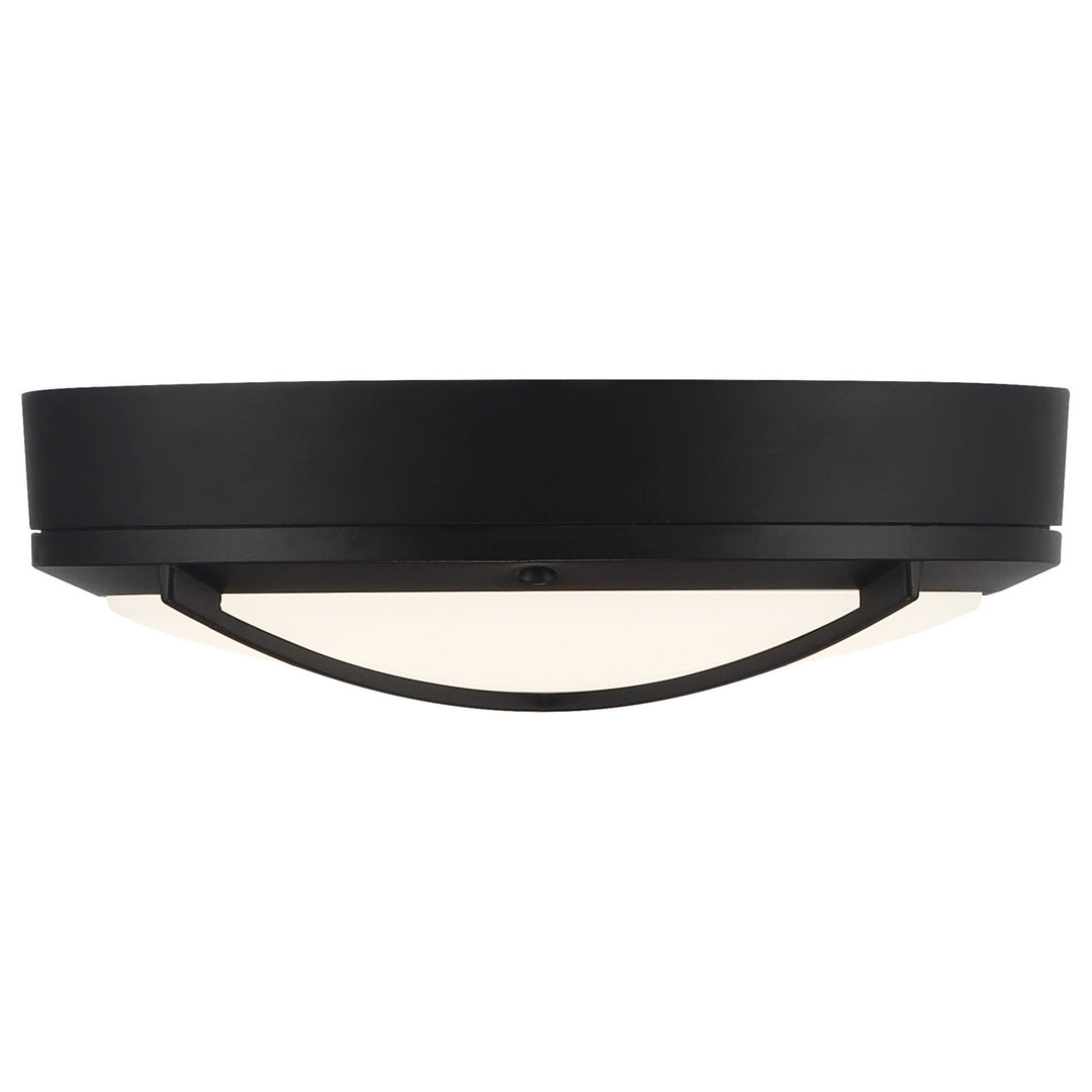 Access Meridian 20255LEDDMG-MBL/FST Ceiling Light - Matte Black