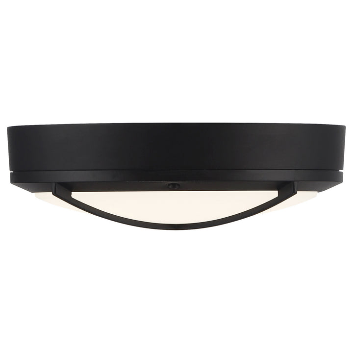Access Meridian 20255LEDDMG-MBL/FST Ceiling Light - Matte Black